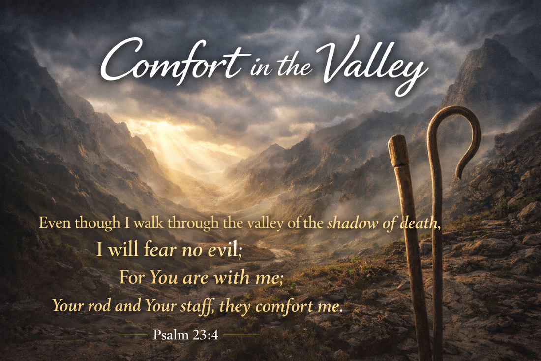 Comfort in the Valley