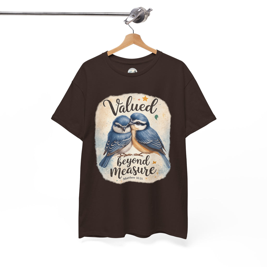 Valued Beyond Measure