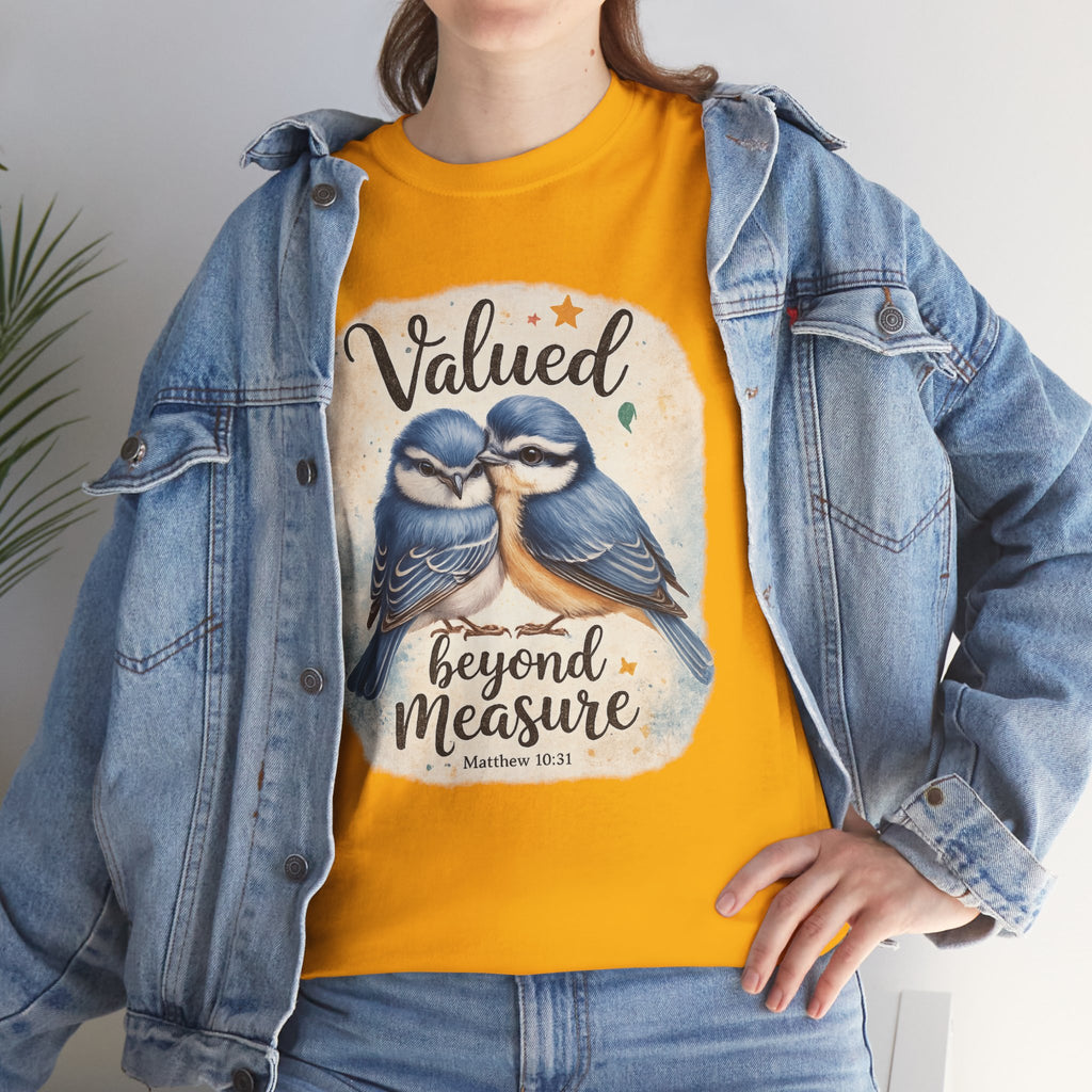 Valued Beyond Measure