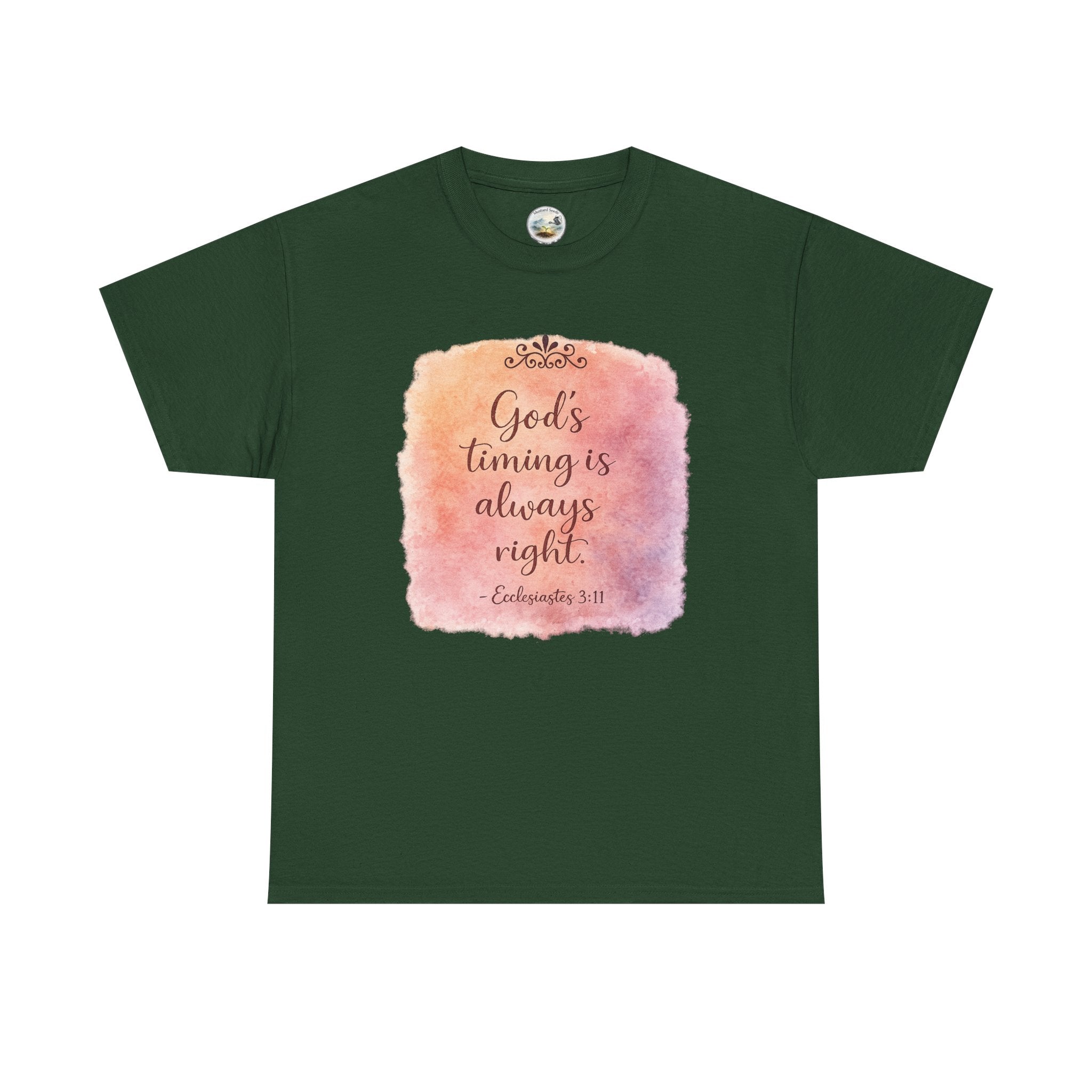 Ecclesiastes 3:11 (1)