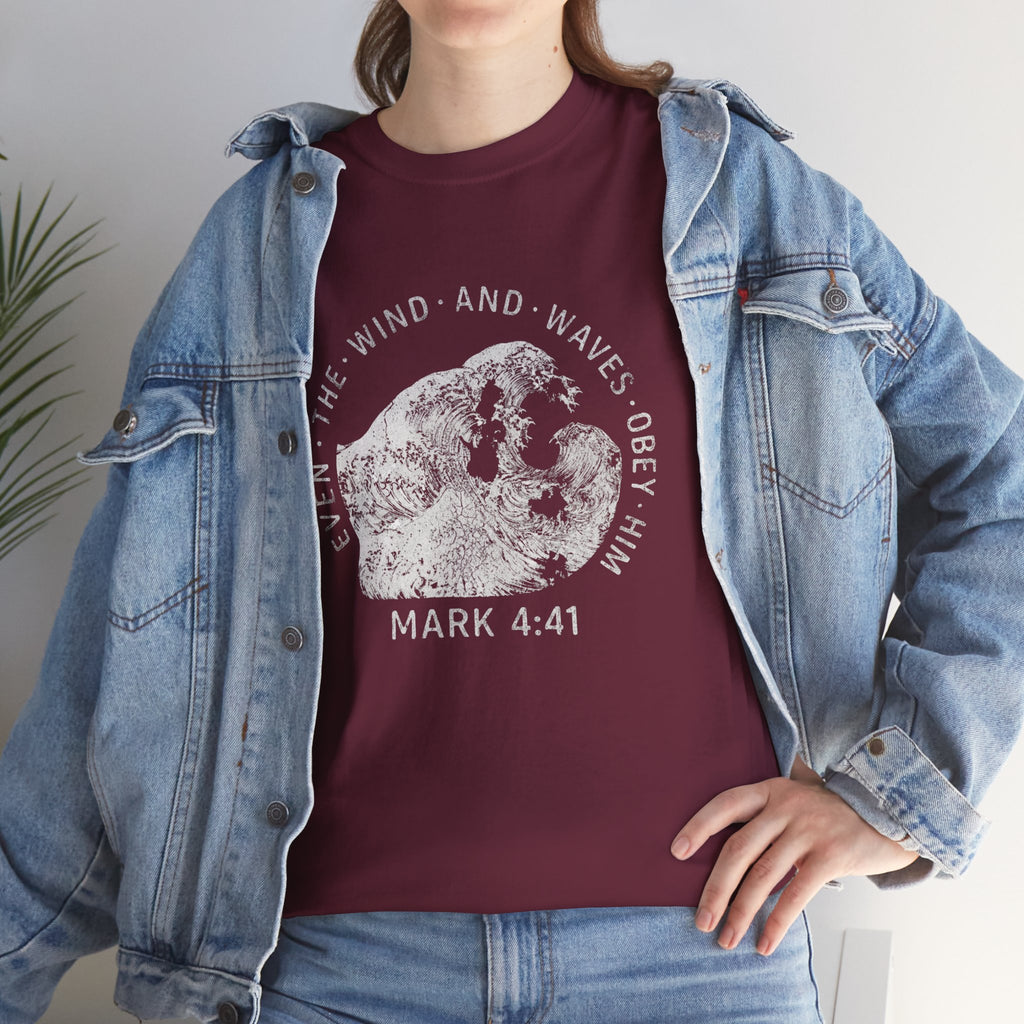 Mark 4:41